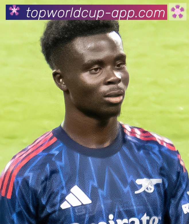 布卡约·萨卡